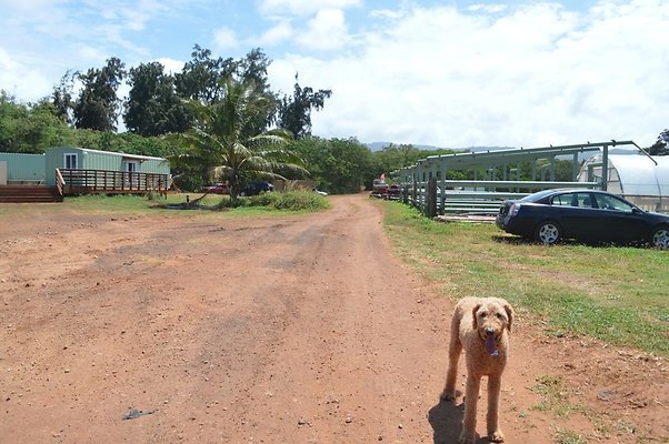Kahuku Zipline Climbworks - Nick Thompson