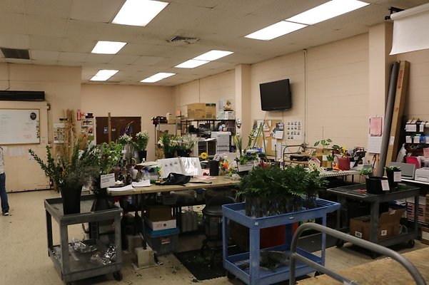 th IMG 7772 th IMG 7772