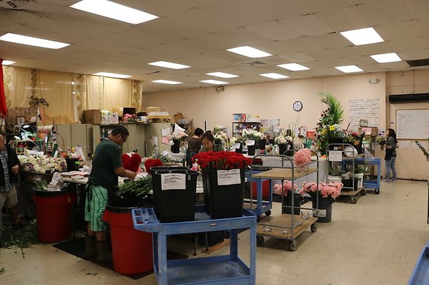 th IMG 7771 th IMG 7771