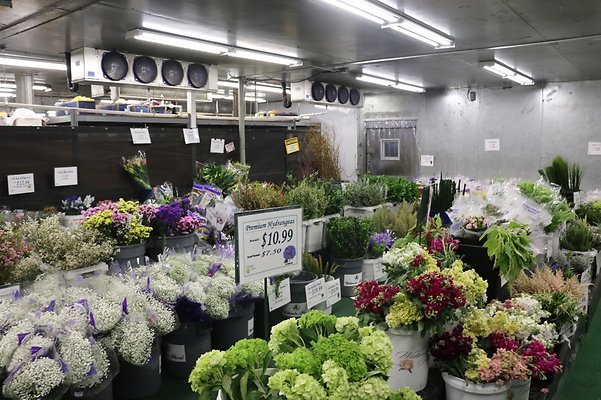 th IMG 7762 th IMG 7762