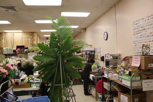 th IMG 7775 th IMG 7775