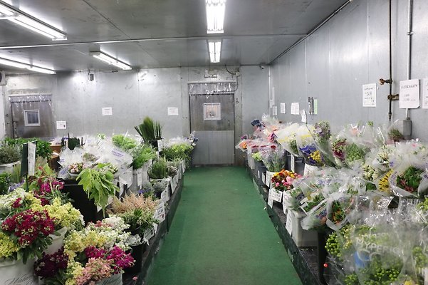 th IMG 7763 th IMG 7763