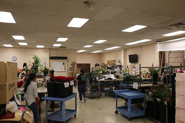 th IMG 7793 th IMG 7793