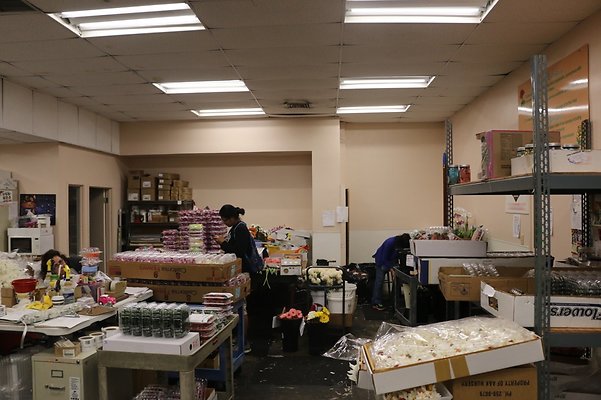 th IMG 7764 th IMG 7764