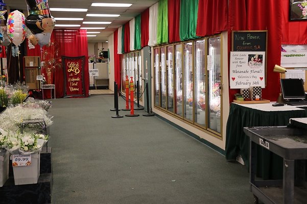 th IMG 7758 th IMG 7758