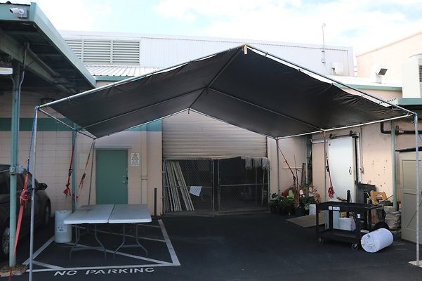 th IMG 7786 th IMG 7786