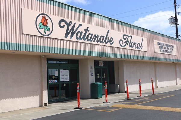 Kalihi Watanabe Floral Monty 832 9360
