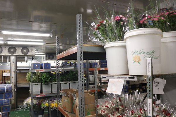 th IMG 7767 th IMG 7767