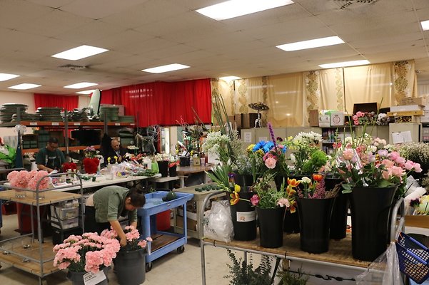 th IMG 7774 th IMG 7774