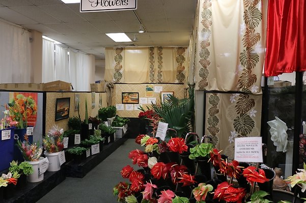 th IMG 7794 th IMG 7794