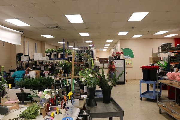 th IMG 7773 th IMG 7773