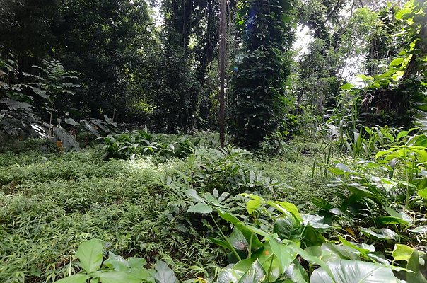 th DSC9798 th DSC9798