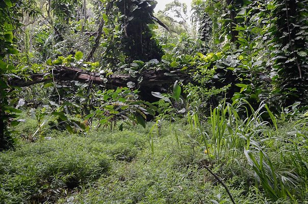 th DSC9815 th DSC9815