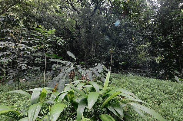 th DSC9809 th DSC9809