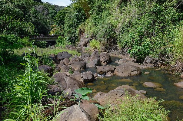 th DSC9910 th DSC9910