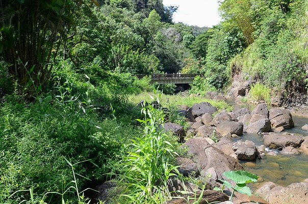 th DSC9911 th DSC9911