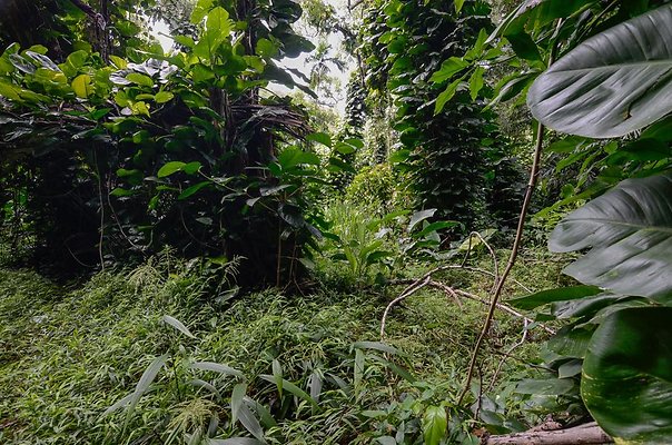 th DSC9812 th DSC9812