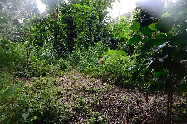 th DSC9793 th DSC9793