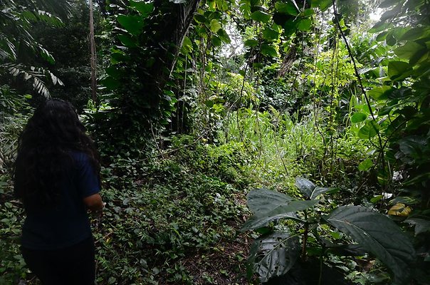 th DSC9796 th DSC9796