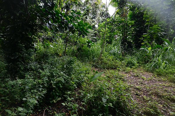 th DSC9794 th DSC9794