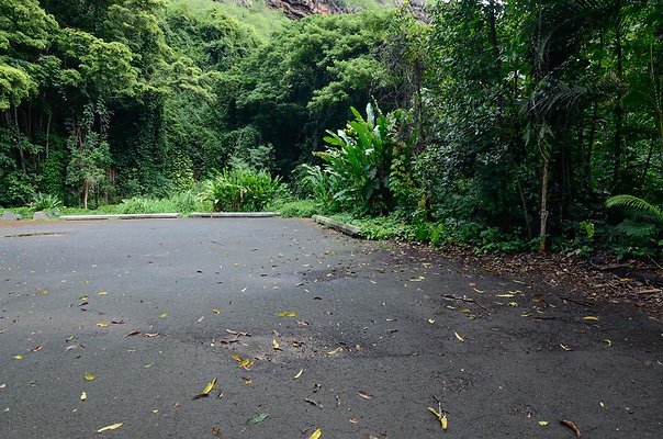 th DSC9830 th DSC9830