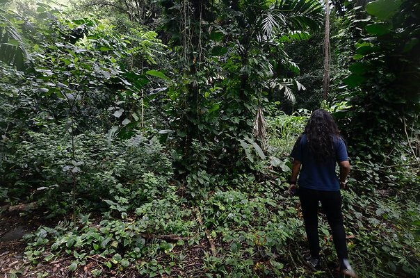 th DSC9797 th DSC9797