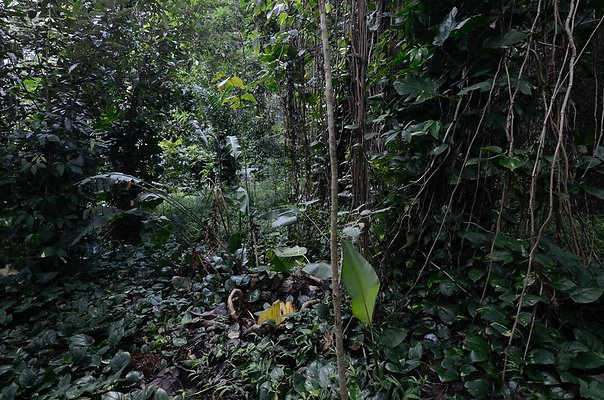 th DSC9819 th DSC9819