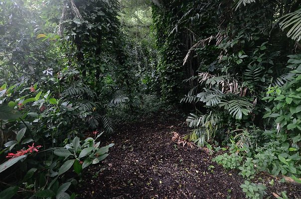 th DSC9788 th DSC9788