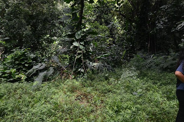 th DSC9808 th DSC9808