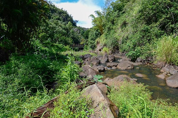 th DSC9909 th DSC9909