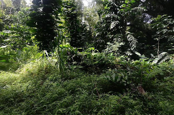 th DSC9806 th DSC9806