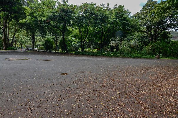 th DSC9836 th DSC9836