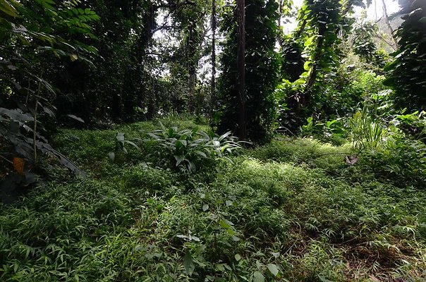 th DSC9804 th DSC9804