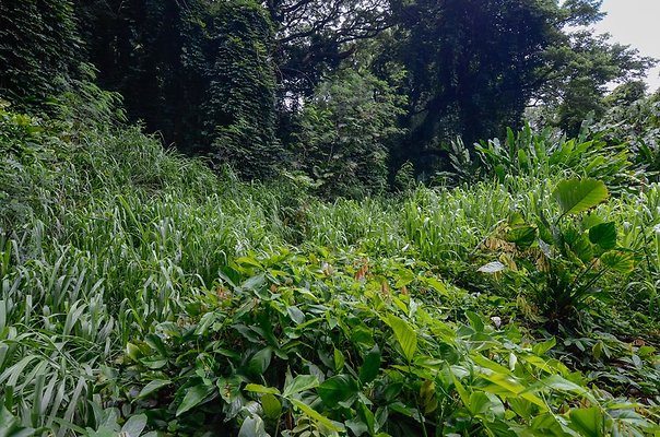 th DSC9845 th DSC9845