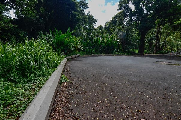 th DSC9834 th DSC9834