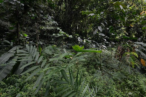 th DSC9802 th DSC9802