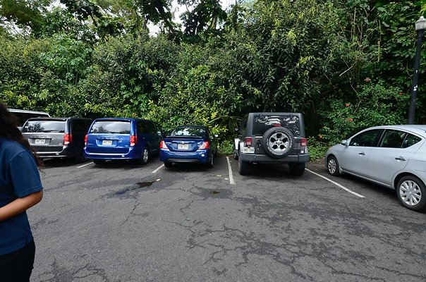 th DSC9822 th DSC9822