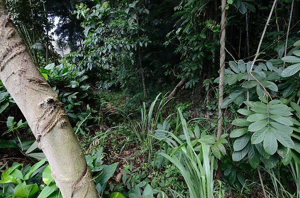 th DSC9842 th DSC9842