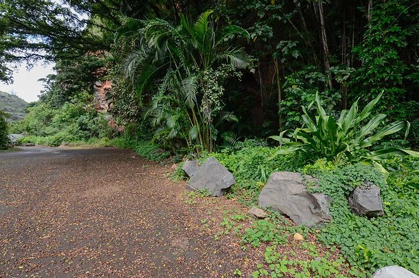 th DSC9833 th DSC9833