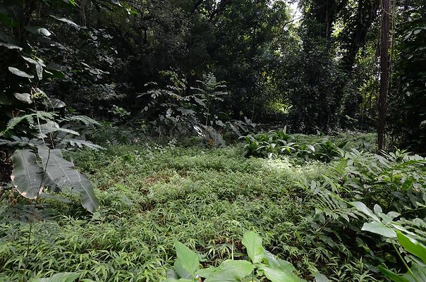 th DSC9799 th DSC9799