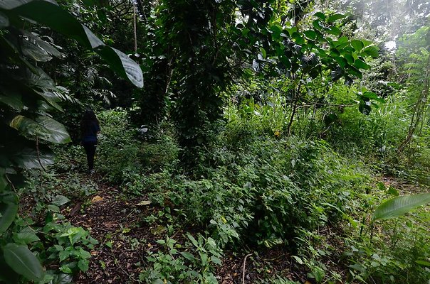 th DSC9795 th DSC9795