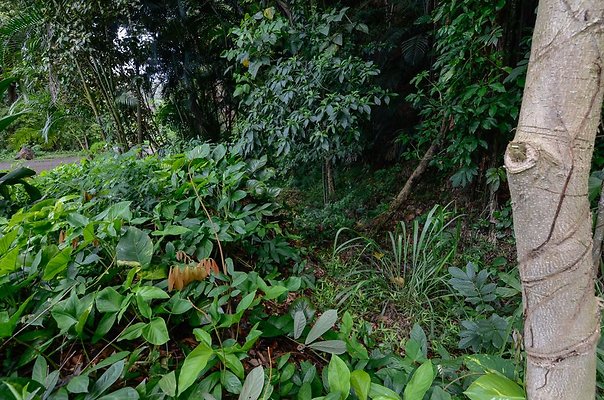 th DSC9840 th DSC9840