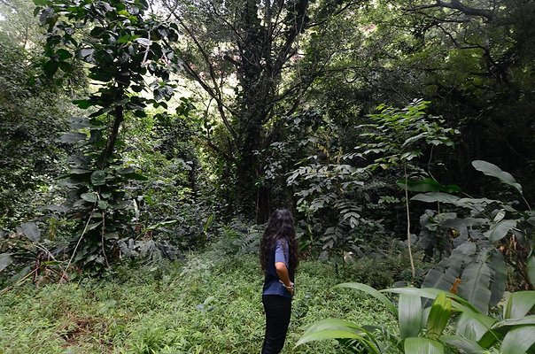 th DSC9810 th DSC9810