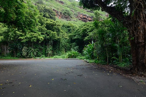 th DSC9826 th DSC9826