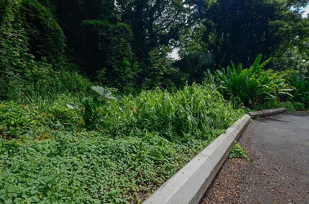 th DSC9838 th DSC9838