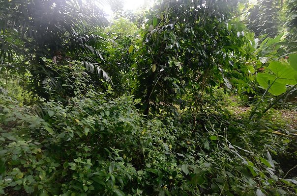 th DSC9790 th DSC9790