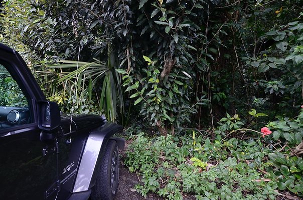 th DSC9821 th DSC9821