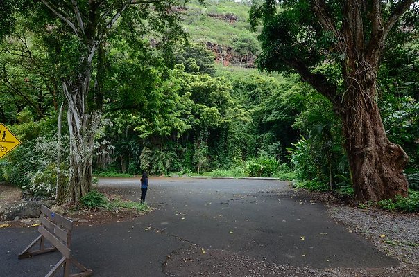 th DSC9827 th DSC9827