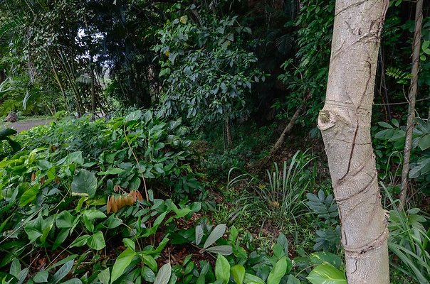 th DSC9841 th DSC9841