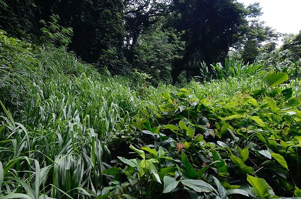 th DSC9844 th DSC9844